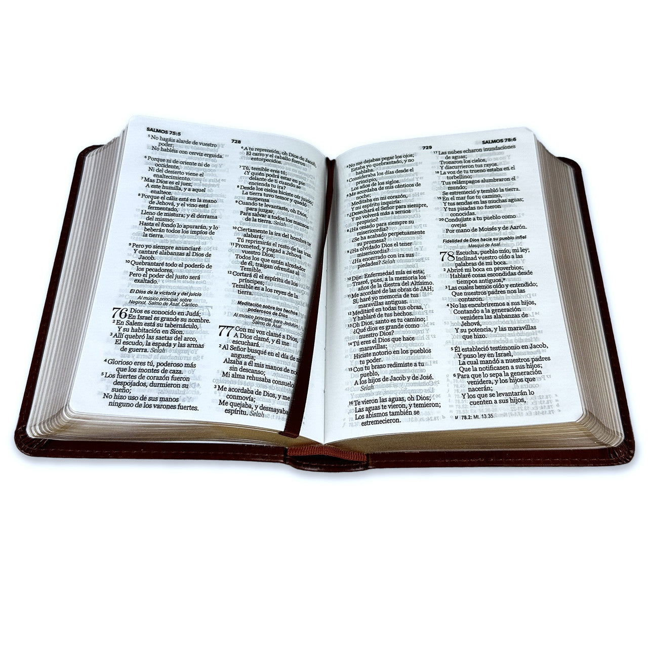 Biblia RVR60 Clasica cafe