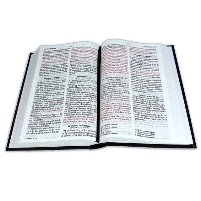 Biblia RVR1960 León