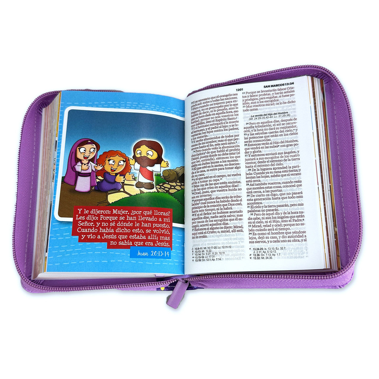 Biblia RVR1960 Mi gran viaje lila