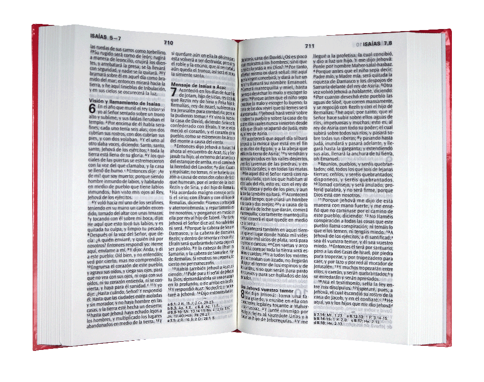 Biblia RVR60 letra grande rosaTD