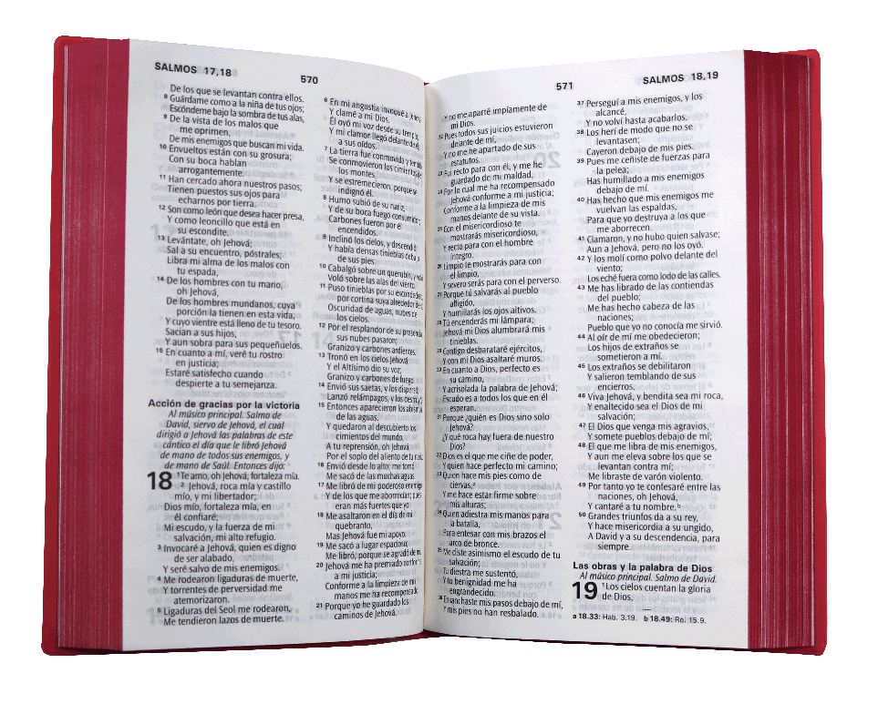 Biblia RVR60 letra grande fucsia