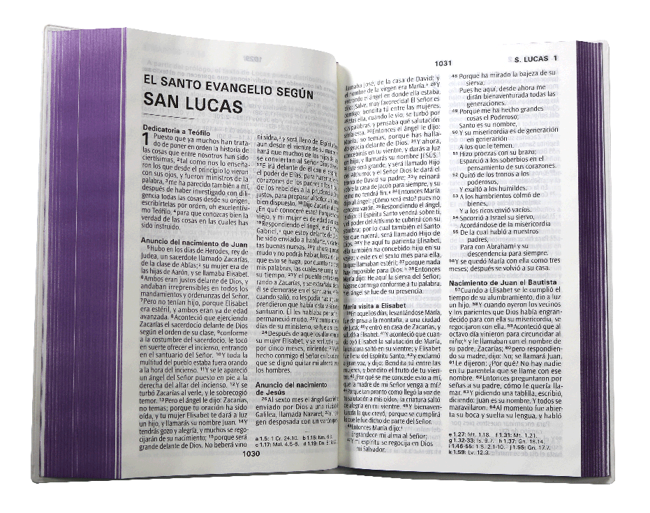 Biblia RVR60 letra grande morado 12P