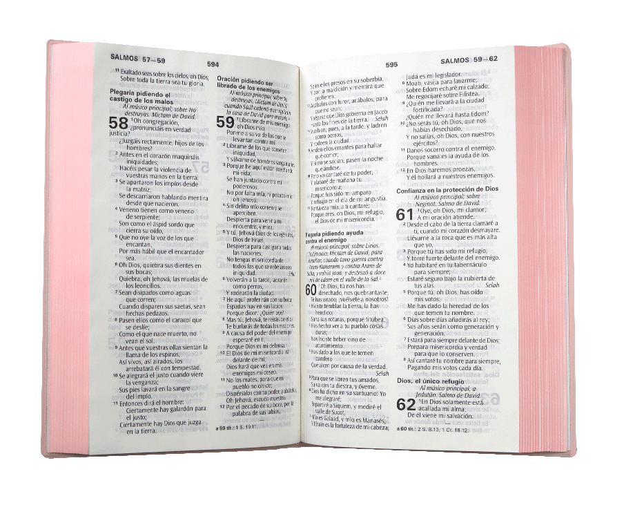 Biblia RVR60 letra grande Rosa Pastel 12P