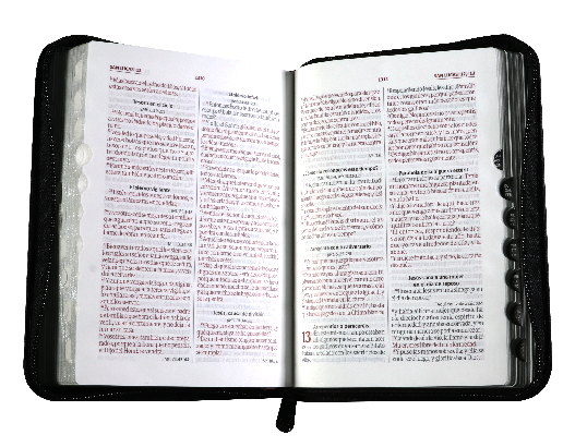 Biblia RVR60 de estudio oraciones gris negro
