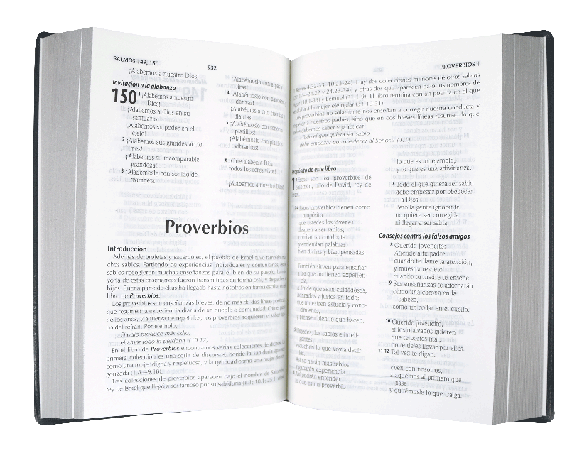 Biblia TLA mediana letra grande vinil negro