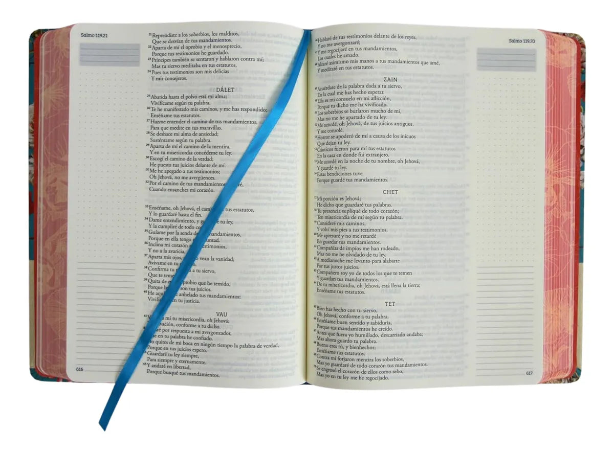 Biblia RV1960 Apuntes azul celeste flores cto pintado