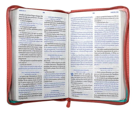 Biblia Valiosa Tla Mediana Letra Grande Símilpiel Rosa Verde