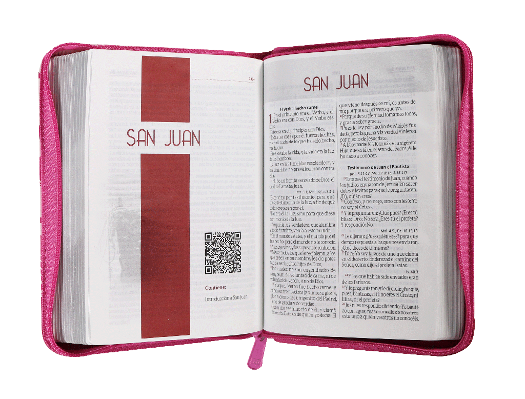 Biblia RVR60 chica rosa hojitas