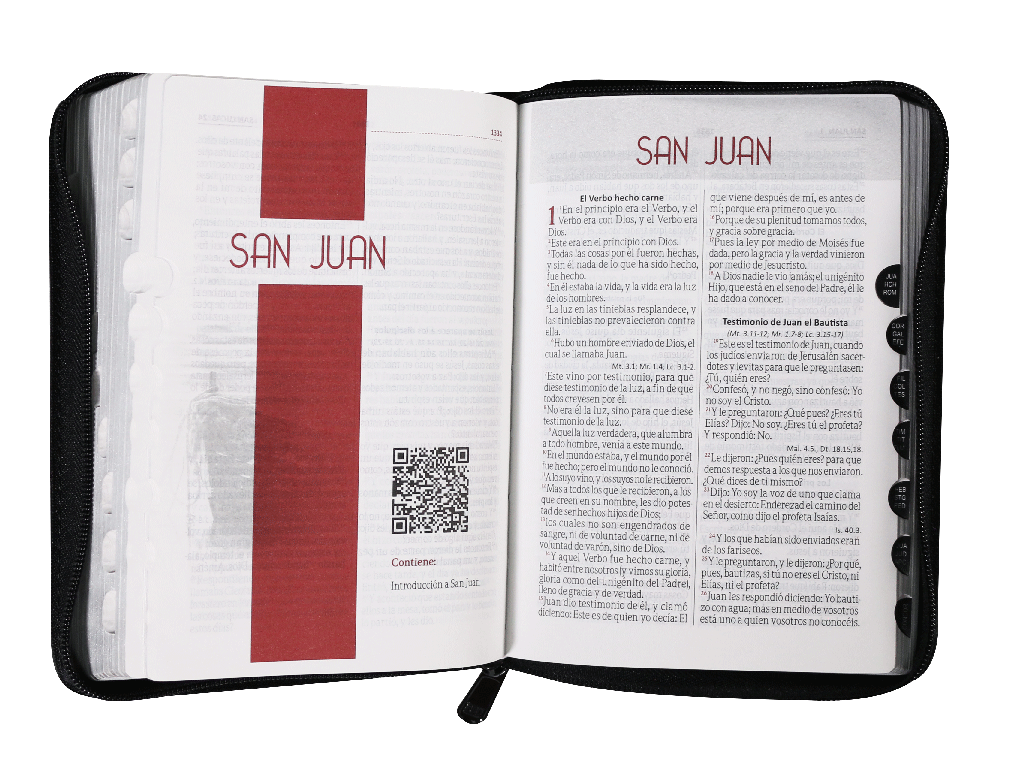 Biblia RVR60 chica negro canto dorado