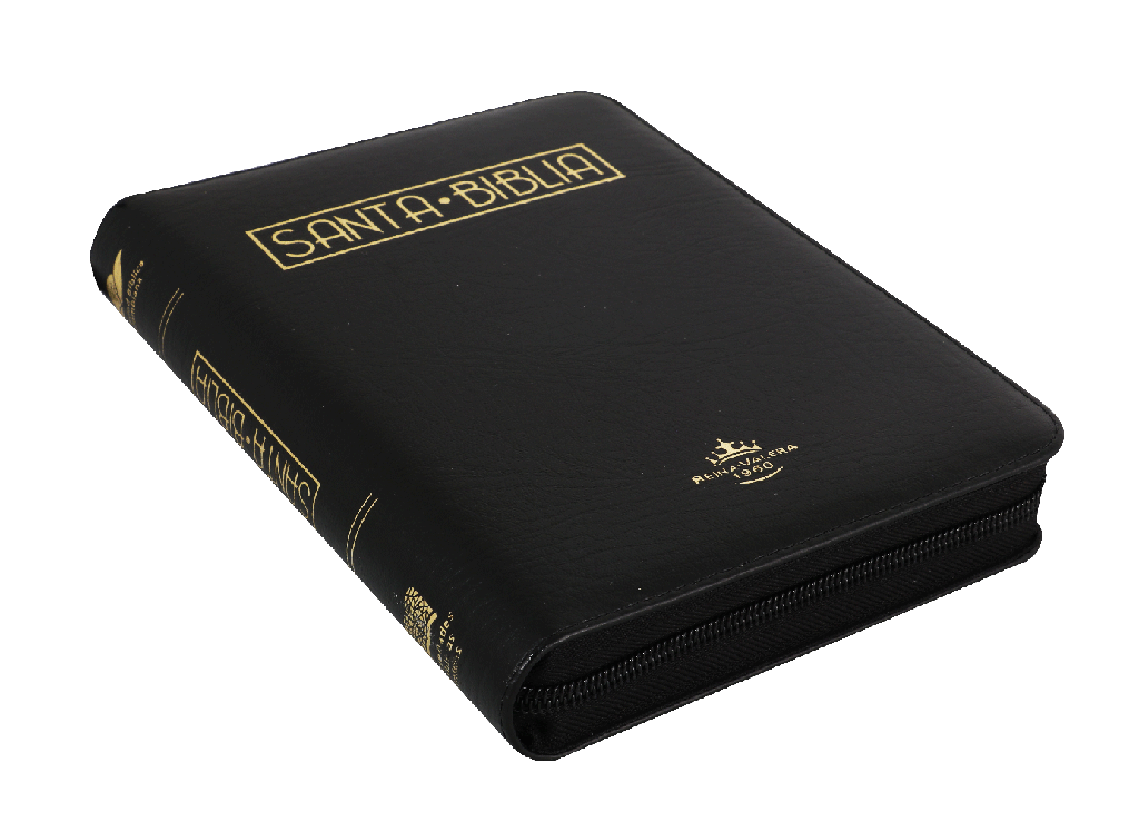 Biblia RVR60 chica negro canto dorado