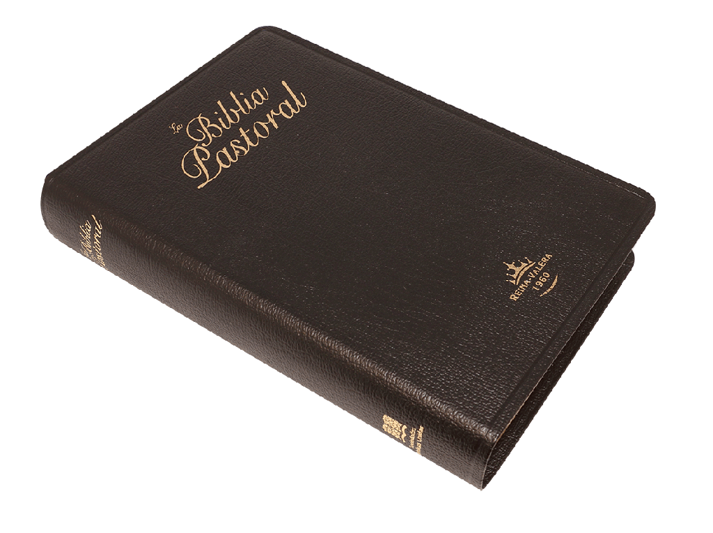 Biblia RVR60 Pastoral piel