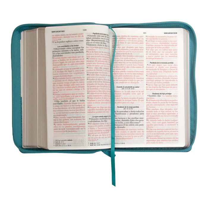 Biblia RVR60 Clasica bitono turque/bco