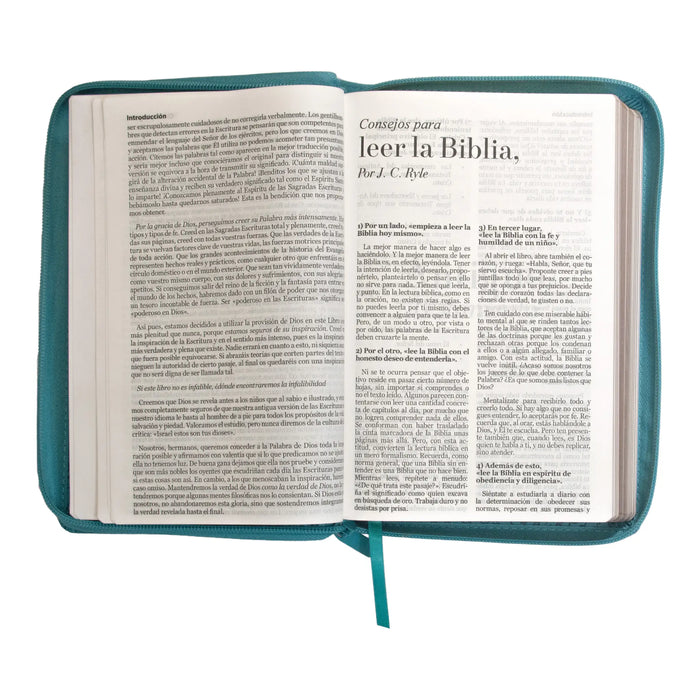 Biblia RVR60 Clasica bitono turque/bco