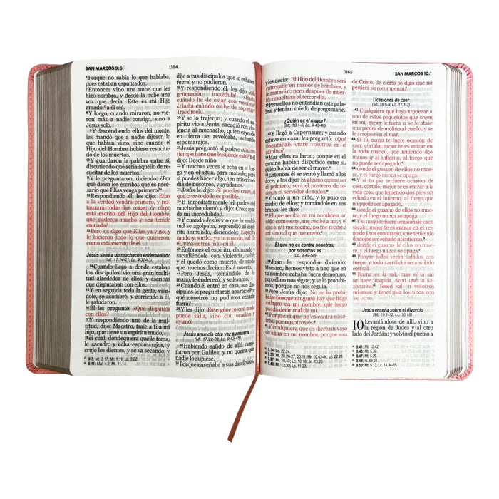 Biblia RVR60 Clasica rosa