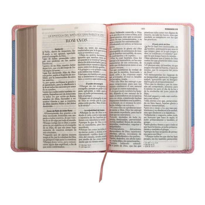 Biblia RVR60 Clasica bitono rosa/azul