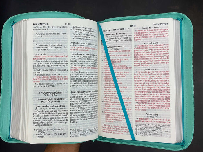 Biblia RVR20 Motivos de fe turquesa espigas