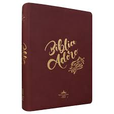 Biblia RVR60 Adoro Grande Letra Grande Vino
