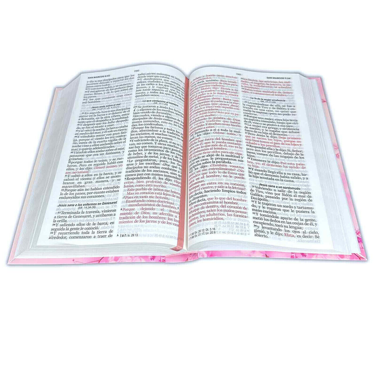 Biblia RVR1960