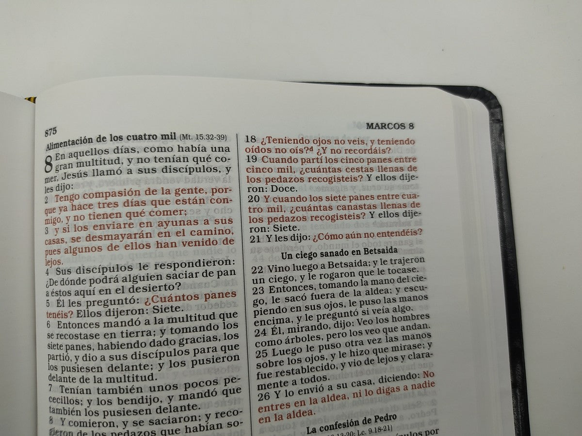 Biblia RV1960 Regalos y premios negro