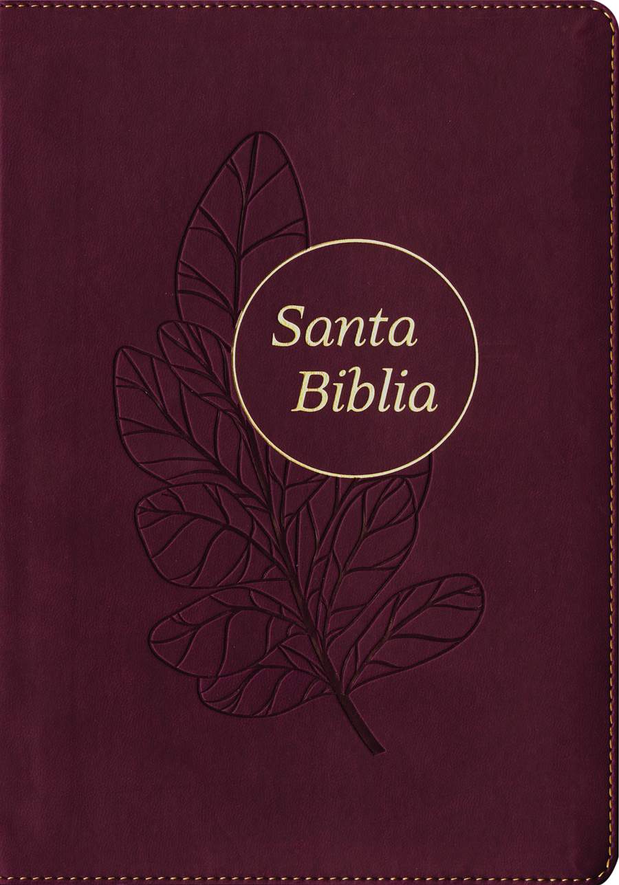 Biblia RVR60 Edición de referencia ultrafina Letra Grande ciruela - Librería Libros Cristianos - Biblia
