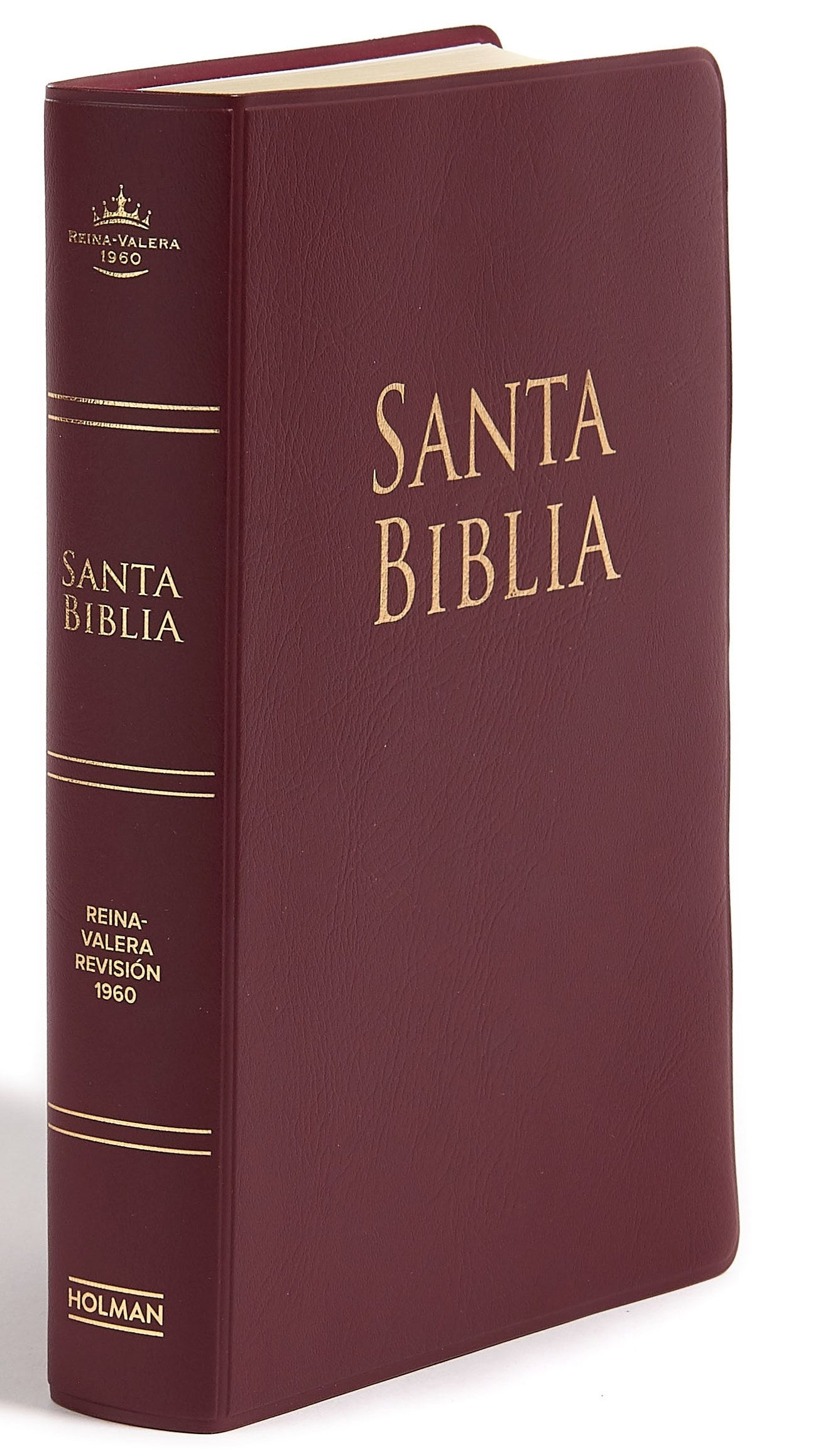 Biblia RVR60 edición especial vino
