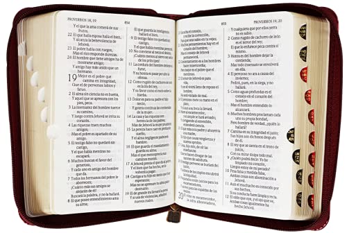 Biblia RVR60 bolsillo vino imitación cierre indice - Librería Libros Cristianos - Biblia