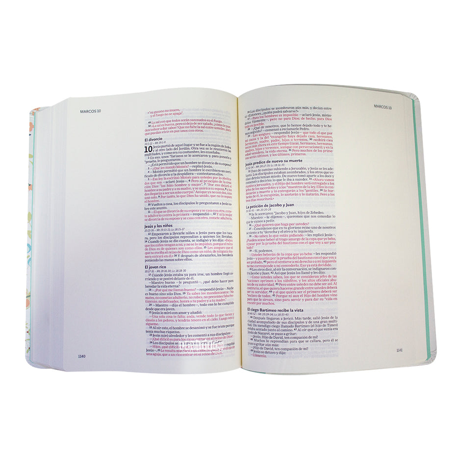 Biblia NVI Ilustra tu fe