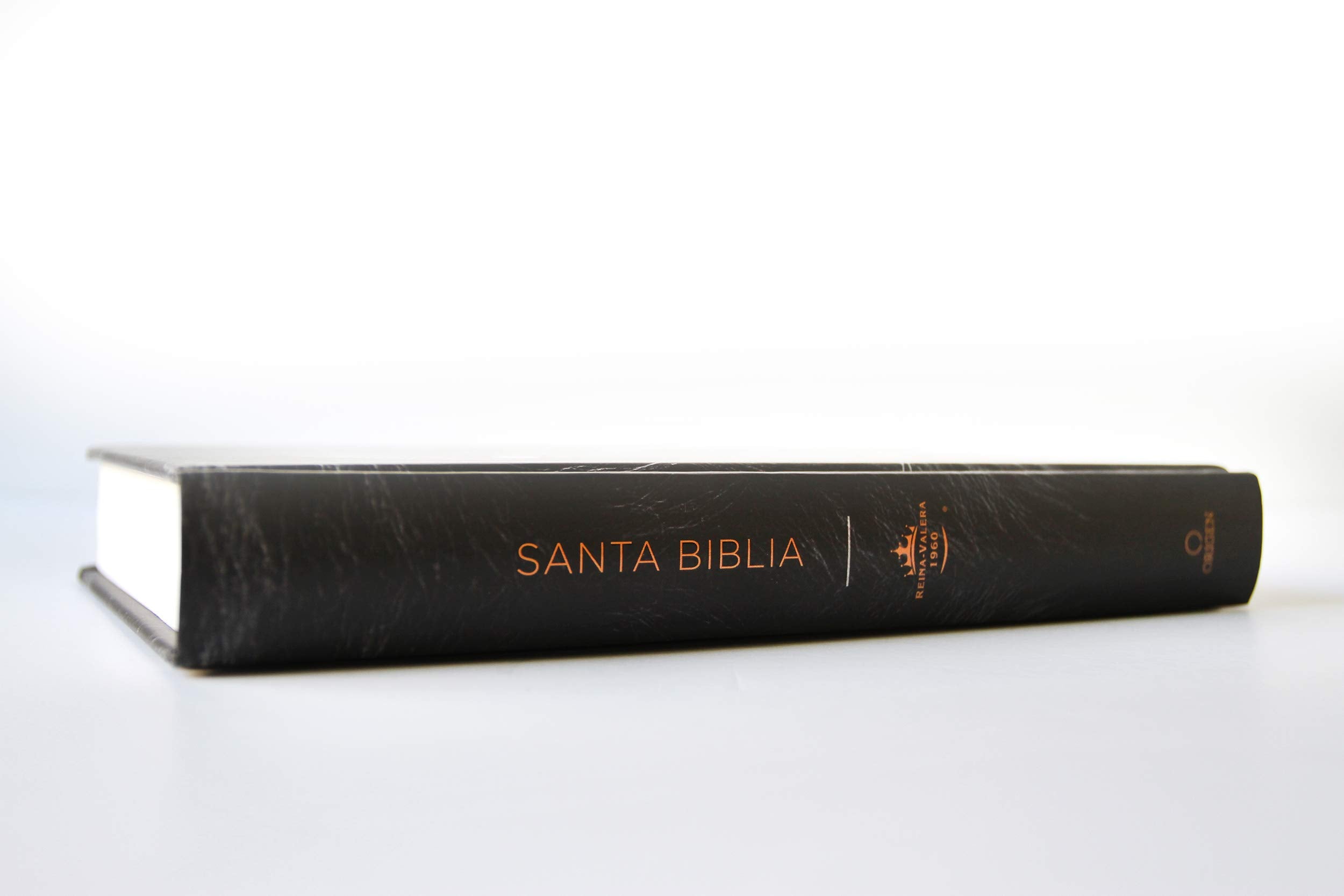 Biblia RVR1960 leon de Juda TD - Librería Libros Cristianos - Biblia