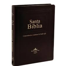 Biblia Relieve Lujo Color Cafe RVR60 - Librería Libros Cristianos - Biblia