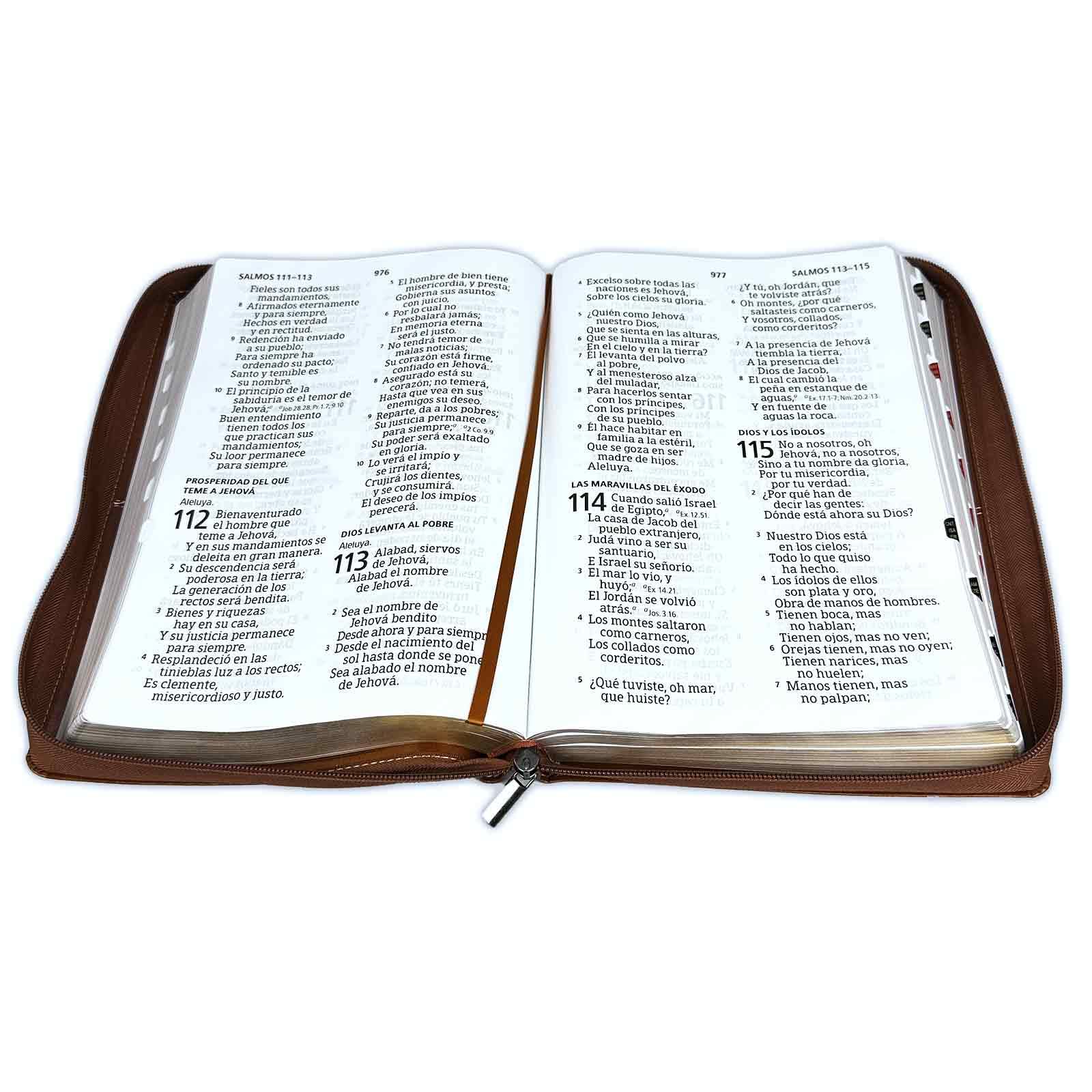 Biblia RVR60 letra ultra gigante caoba marrón cierre ind