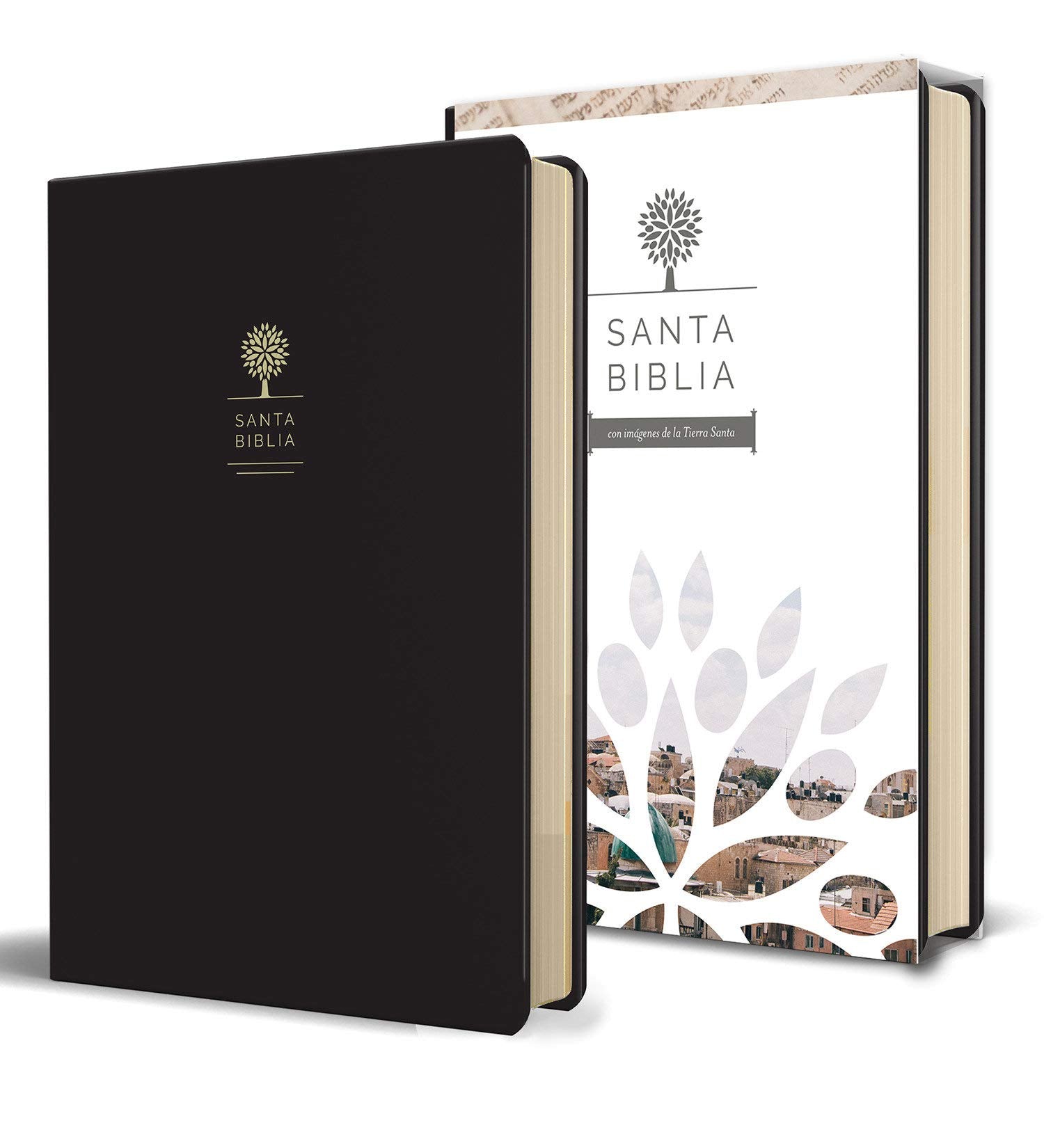 Biblia RVR1960  Negro - Librería Libros Cristianos - Biblia