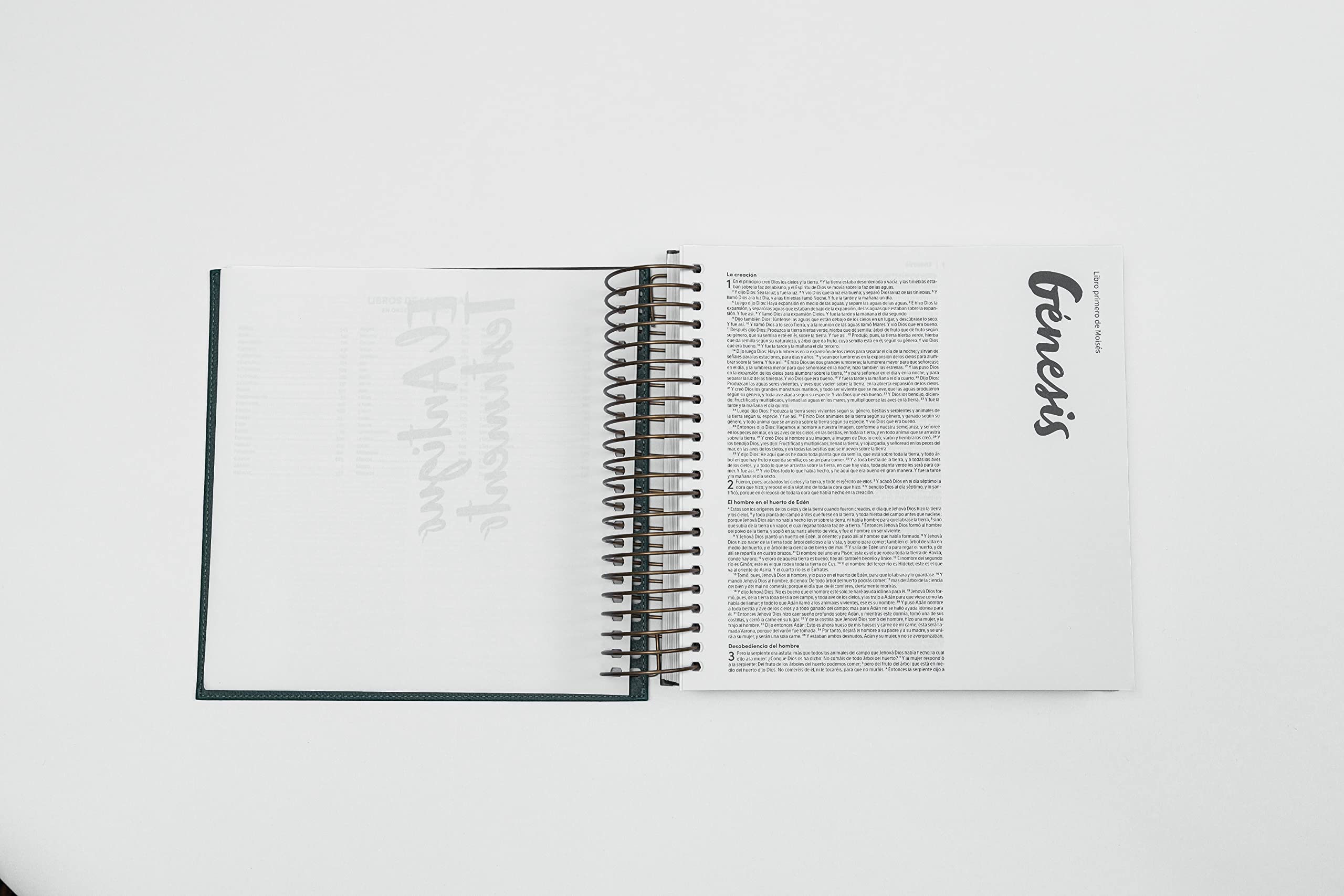 Biblia RVR60 para ilustrar verde símil piel - Librería Libros Cristianos - Biblia