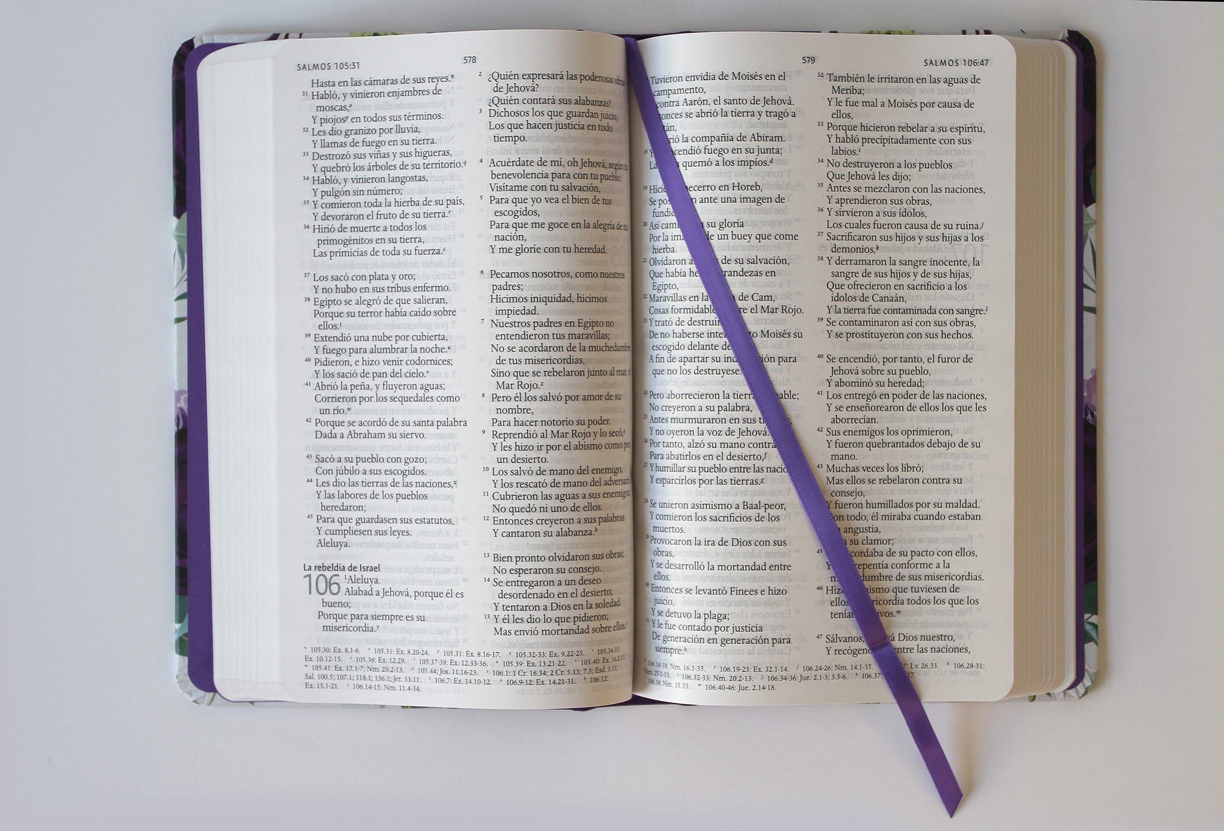 Biblia RVR60, letra grande, tamaño manual - Librería Libros Cristianos - Biblia