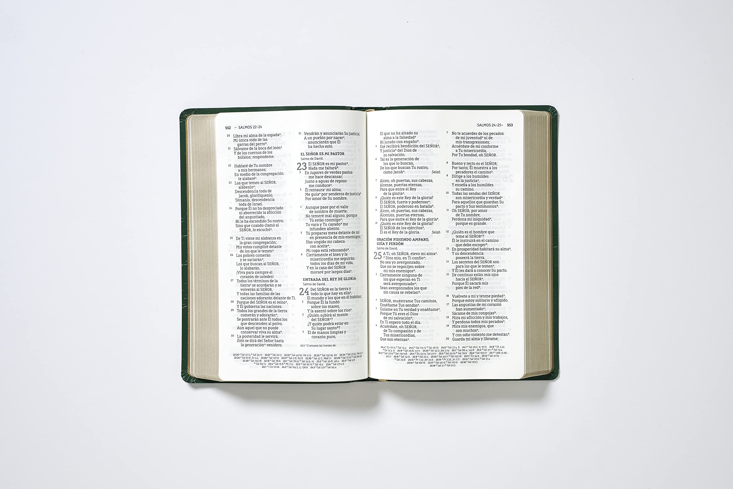 Biblia NBLA Letra Grande Flexcover Historia de Redención