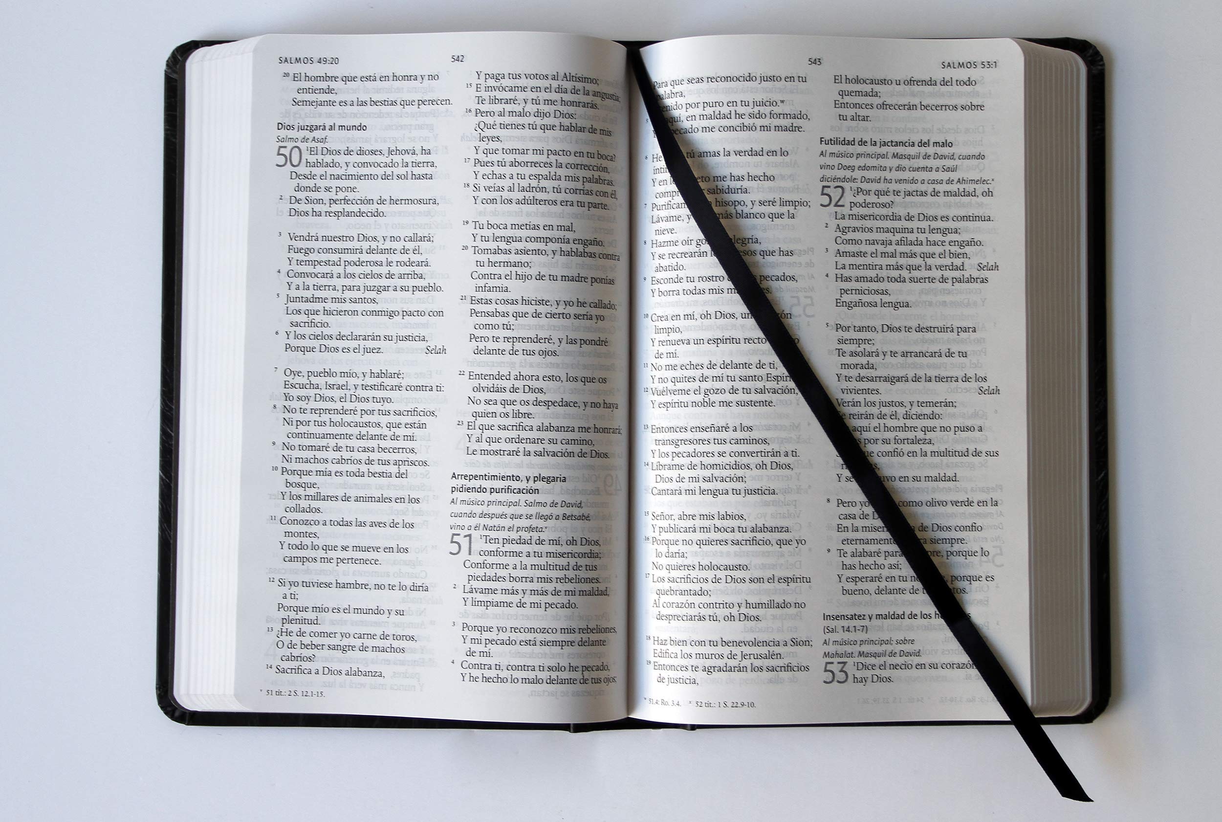 Biblia RVR1960 leon de Juda TD - Librería Libros Cristianos - Biblia