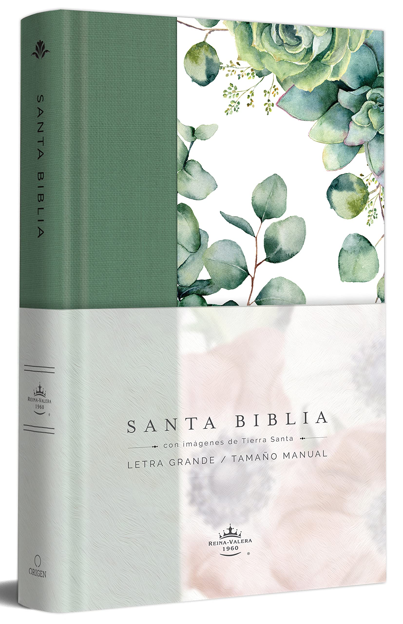 Biblia RVR60, Letra grande, tela - Librería Libros Cristianos - Biblia