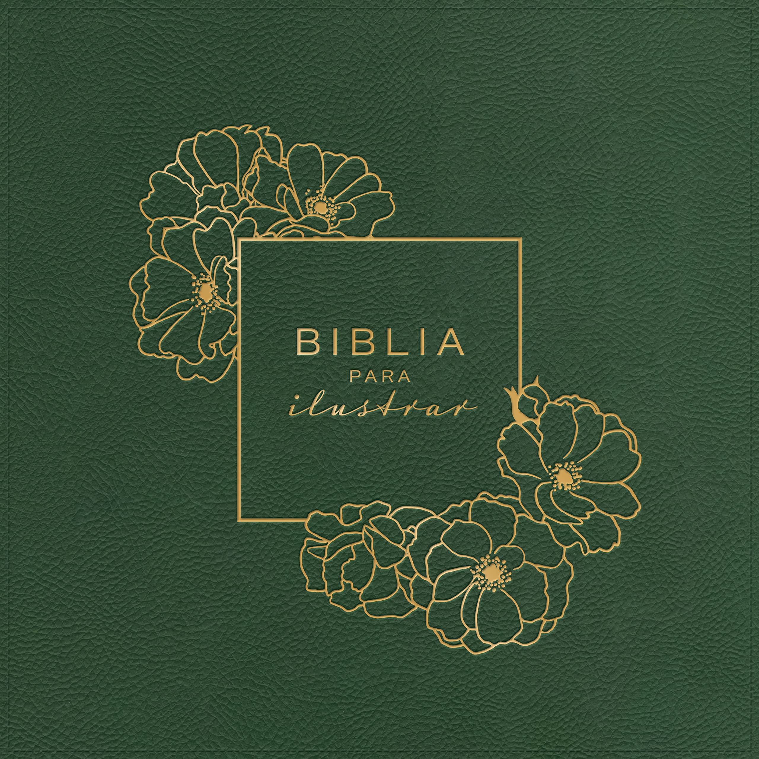 Biblia RVR60 para ilustrar verde símil piel - Librería Libros Cristianos - Biblia
