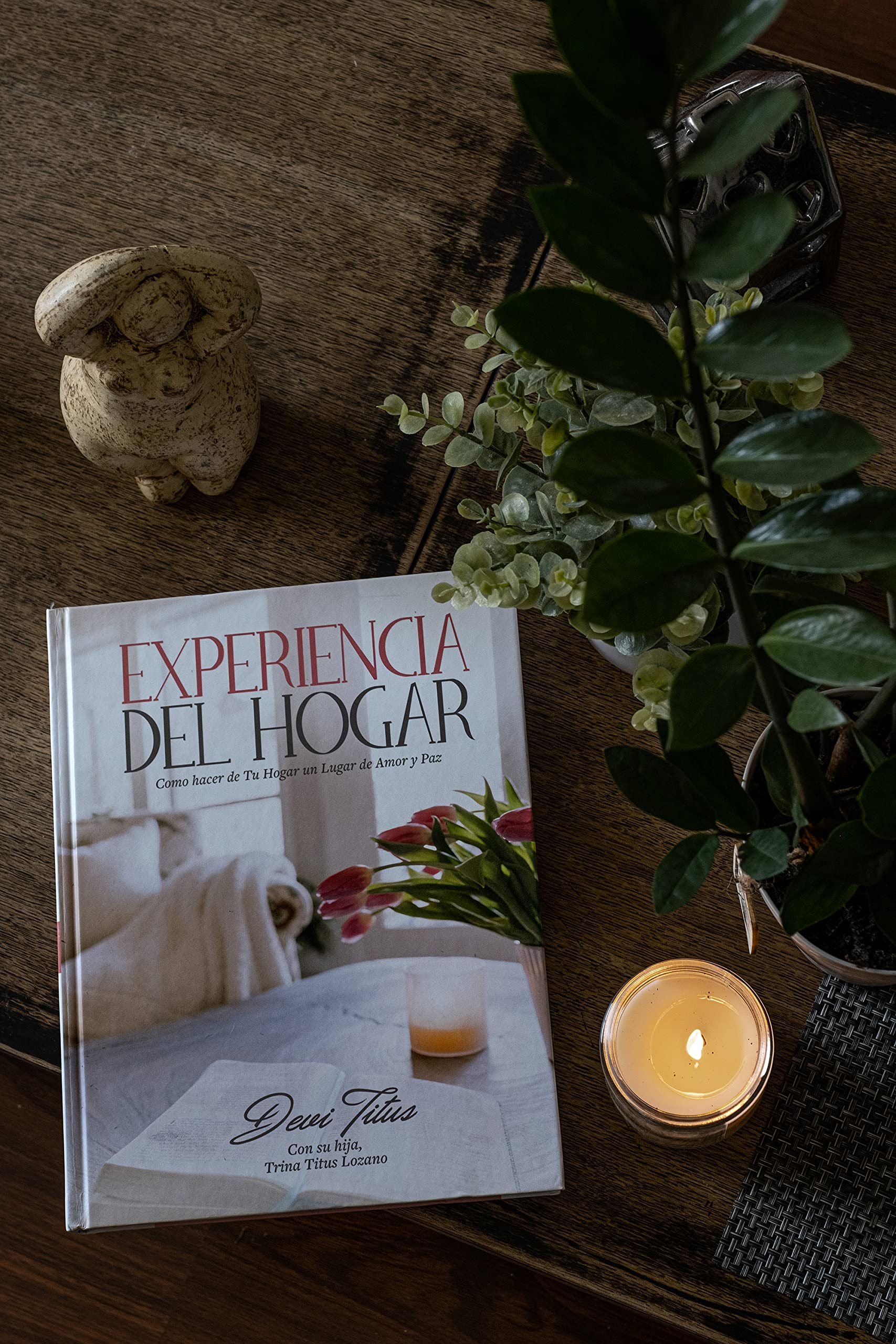 Experiencia del hogar