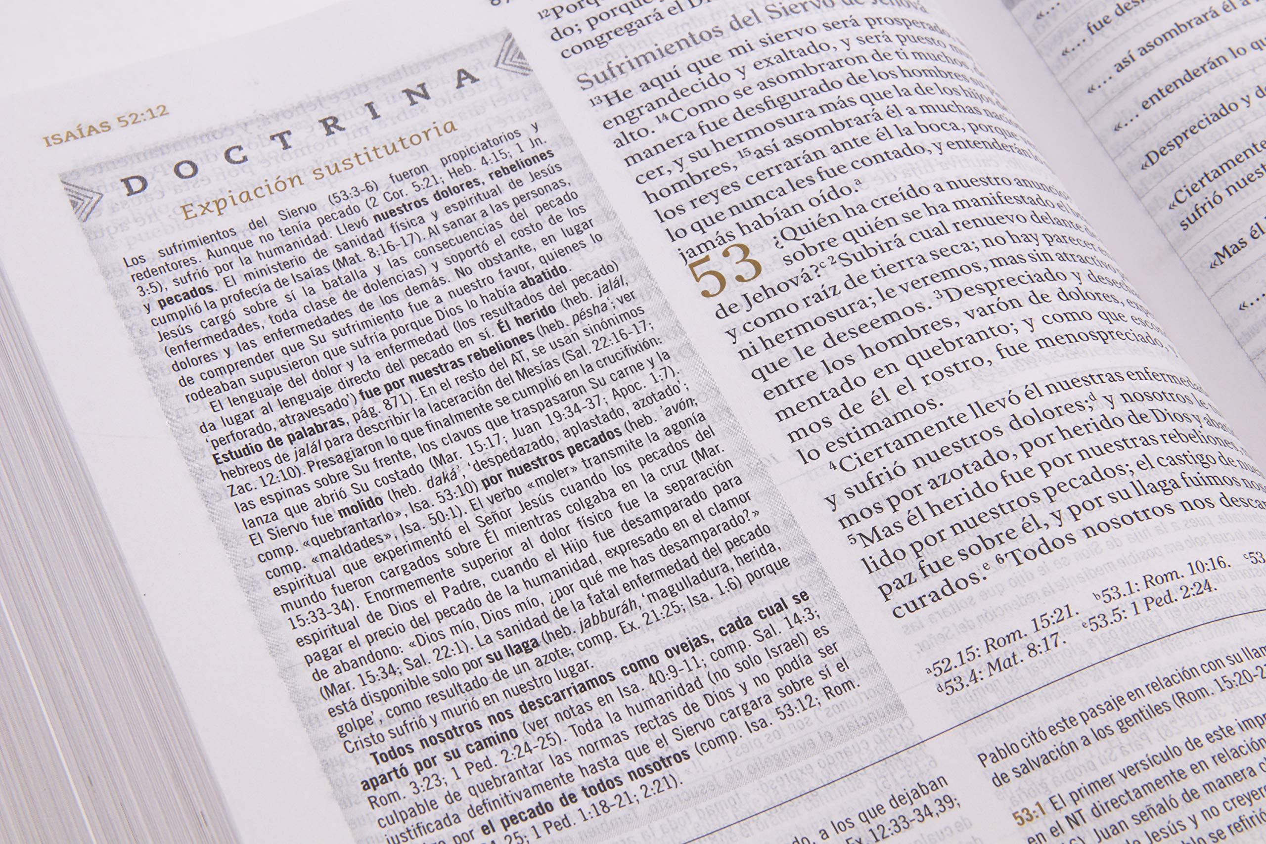 Biblia de Estudio para mujeres RVR60 - Librería Libros Cristianos - Biblia