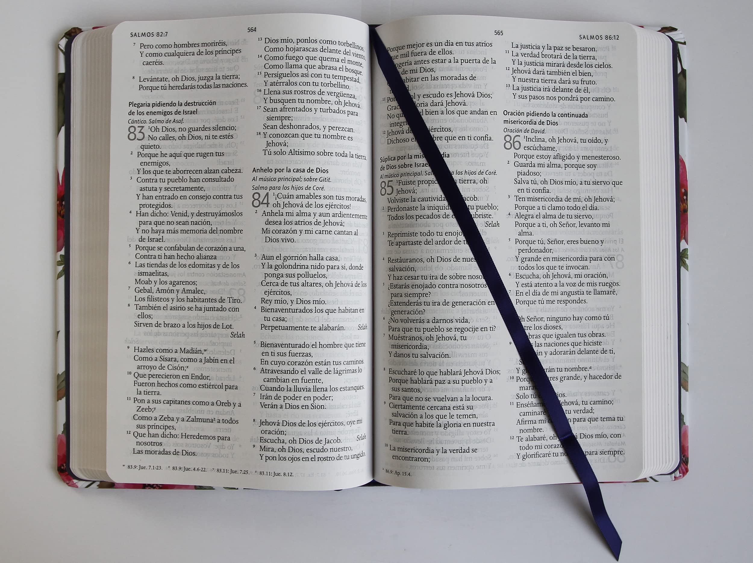 Biblia RVR60 Letra grande, tela - Librería Libros Cristianos - Biblia