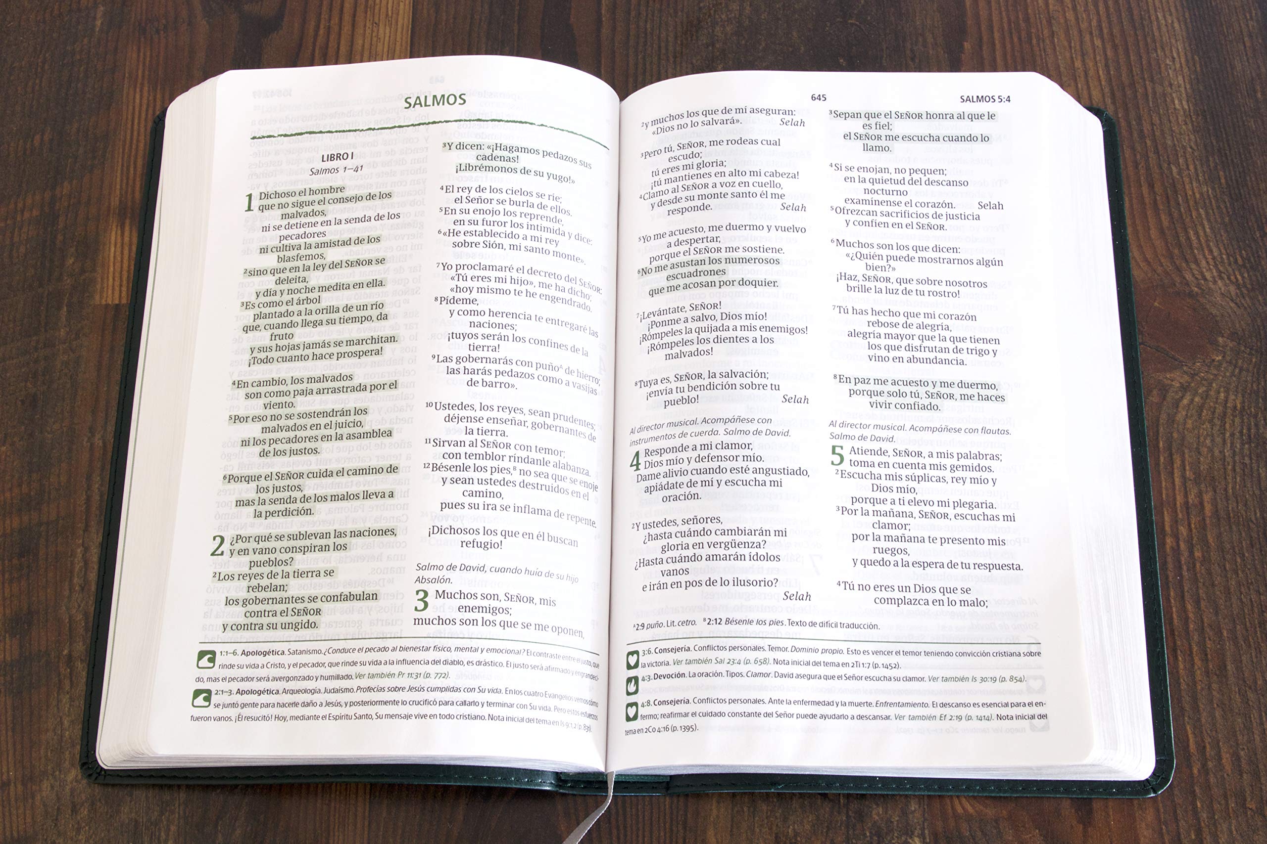 Biblia NVI Pescador verde