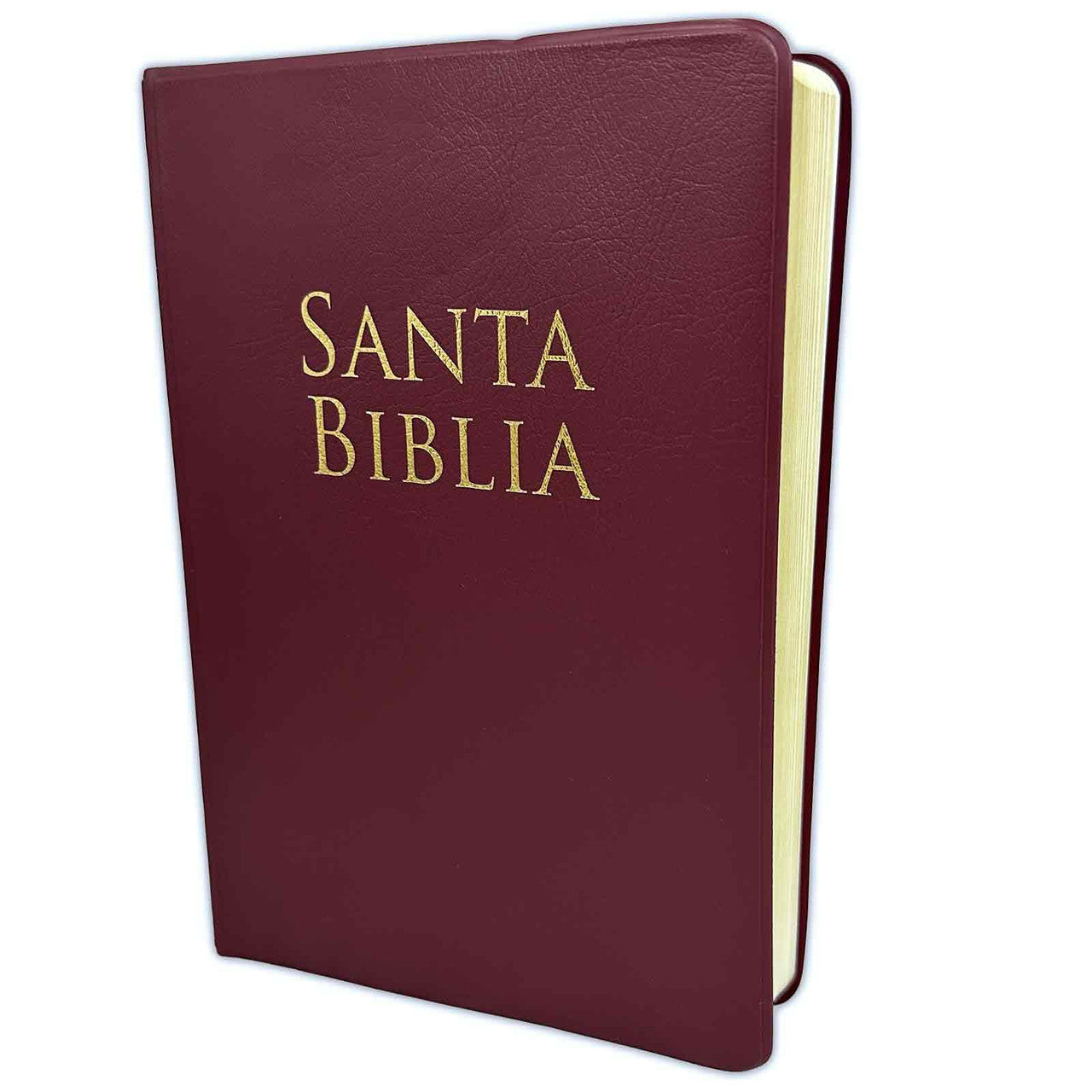 Biblia RVR60 edición especial vino