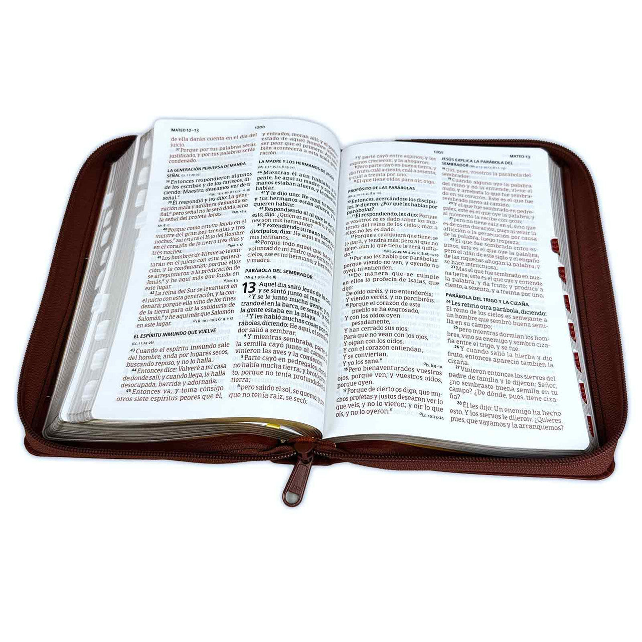 Biblia RVR60 Letra grande cafe