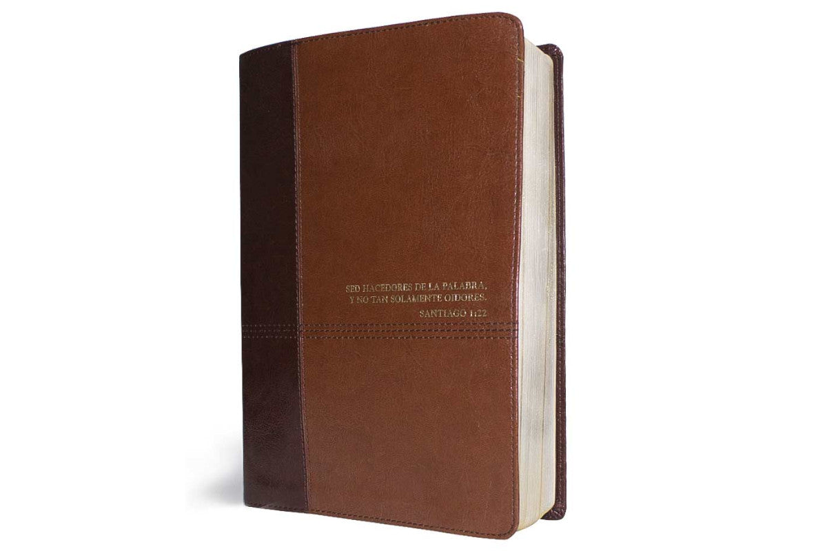 Biblia de Estudio Diario Vivir RVR60 - Librería Libros Cristianos - Biblia