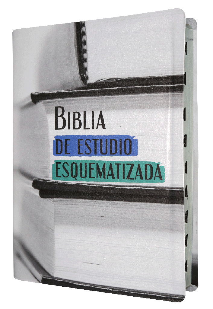 Biblia RVR60 Esquematizada imitación piel - Librería Libros Cristianos - Biblia