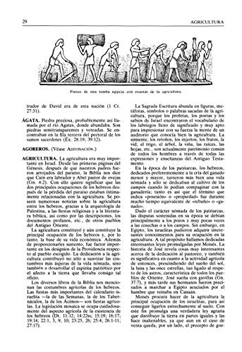 Nuevo Diccionario Bíblico Ilustrado - Librería Libros Cristianos - Libro
