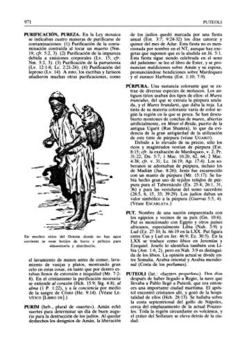 Nuevo Diccionario Bíblico Ilustrado - Librería Libros Cristianos - Libro