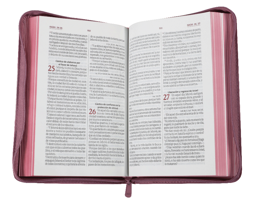 Biblia RVR60 manual letra grande rosa - Librería Libros Cristianos - Biblia