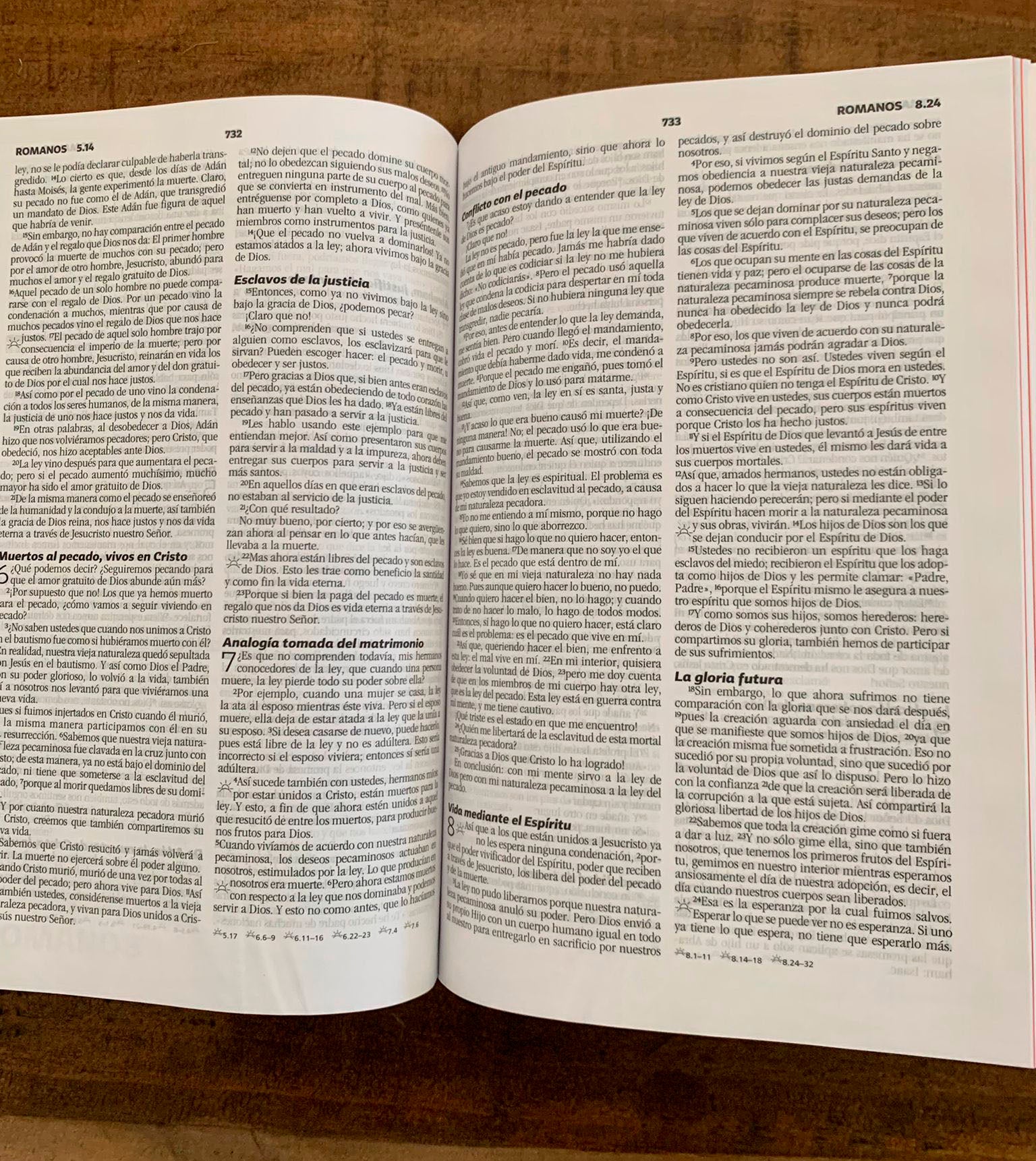 Biblia NBV Grupos pequeños - Librería Libros Cristianos - Biblia