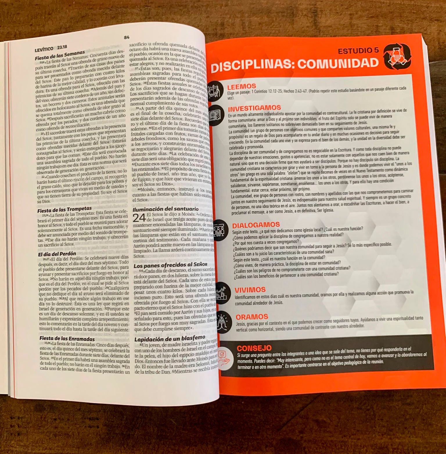 Biblia NBV Grupos pequeños - Librería Libros Cristianos - Biblia